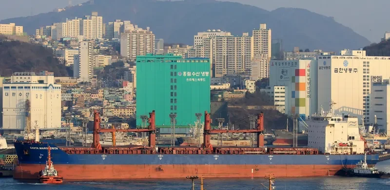 EVANTHIA Bulk Carrier IMO 9308106 photo 3