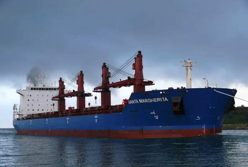EVANTHIA Bulk Carrier IMO 9308106 photo 4