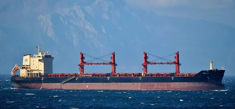 PRIONAS Bulk Carrier IMO 9308118 photo 2