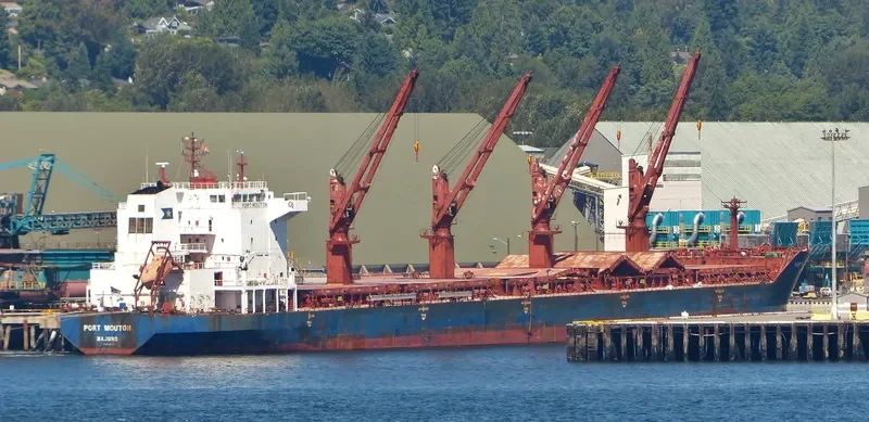 PRIONAS Bulk Carrier IMO 9308118 photo 10