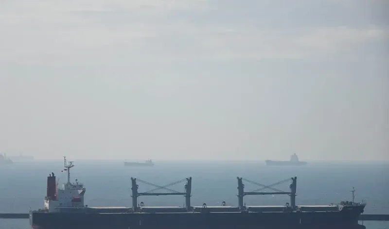 ICARIUS Bulk Carrier IMO 9308247 photo 2