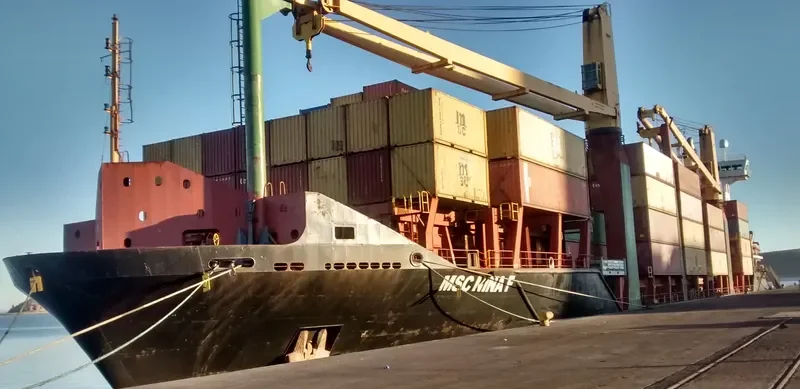 MSC NINA F Container Ship IMO 9308584 photo 5