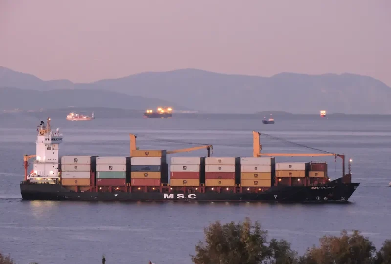 MSC TALIA F Container Ship IMO 9308601