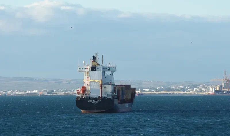 MSC TALIA F Container Ship IMO 9308601 photo 2