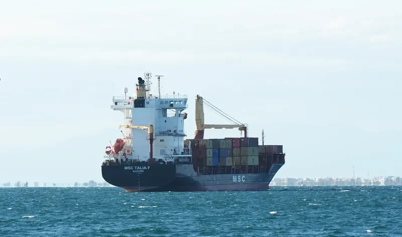 MSC TALIA F Container Ship IMO 9308601 photo 3