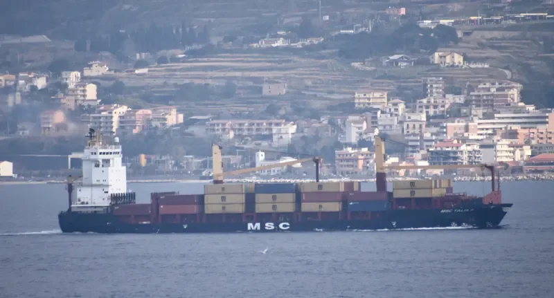 MSC TALIA F Container Ship IMO 9308601 photo 4
