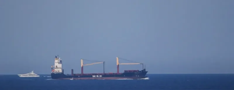 MSC TALIA F Container Ship IMO 9308601 photo 5