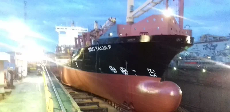 MSC TALIA F Container Ship IMO 9308601 photo 6