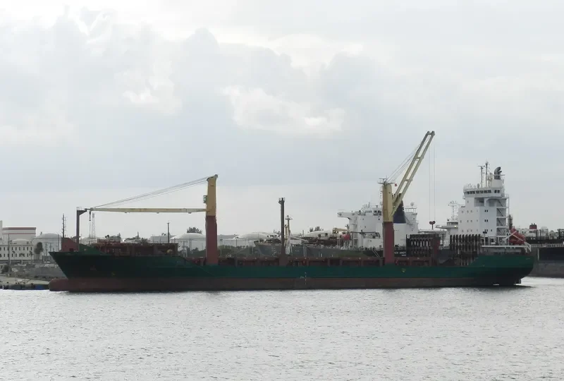 MSC TALIA F Container Ship IMO 9308601 photo 7