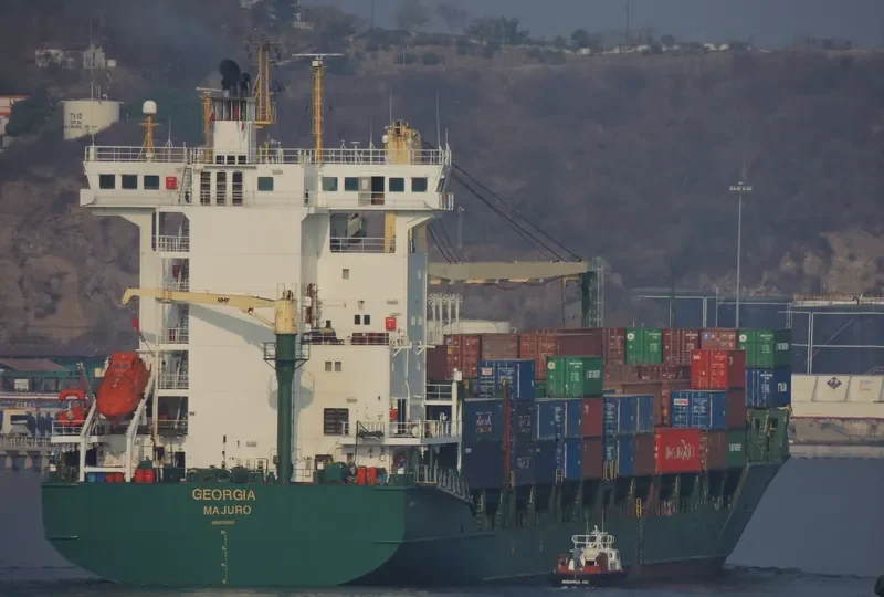 MSC TALIA F Container Ship IMO 9308601 photo 8