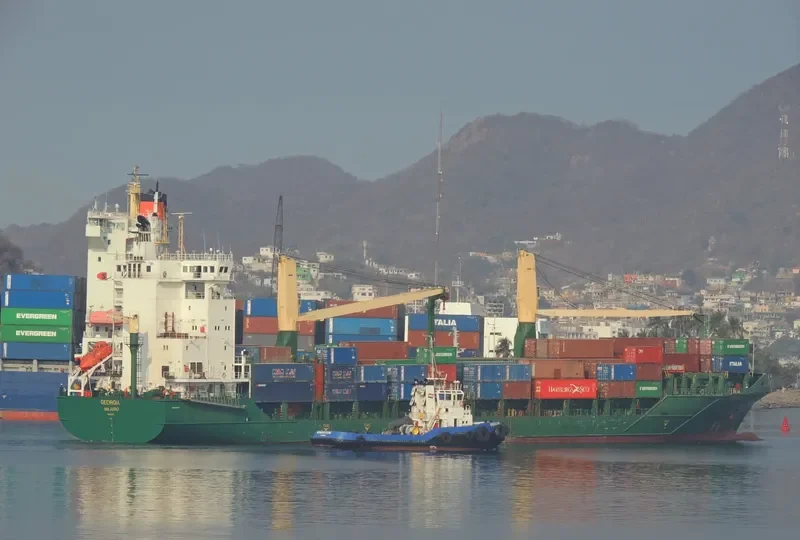 MSC TALIA F Container Ship IMO 9308601 photo 9