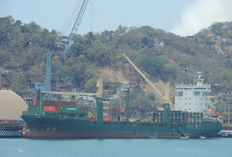 MSC TALIA F Container Ship IMO 9308601 photo 10