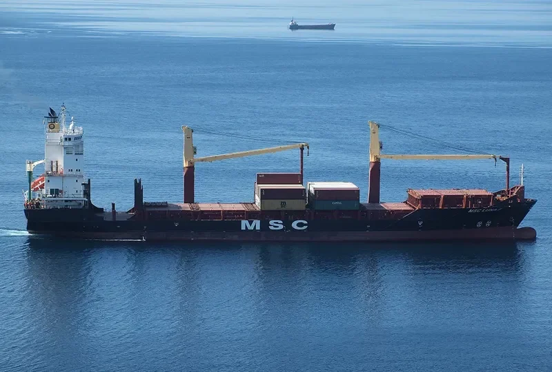 MSC LUNA F Container Ship IMO 9308625 photo 7
