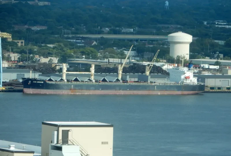 COS ORCHID Bulk Carrier IMO 9308704