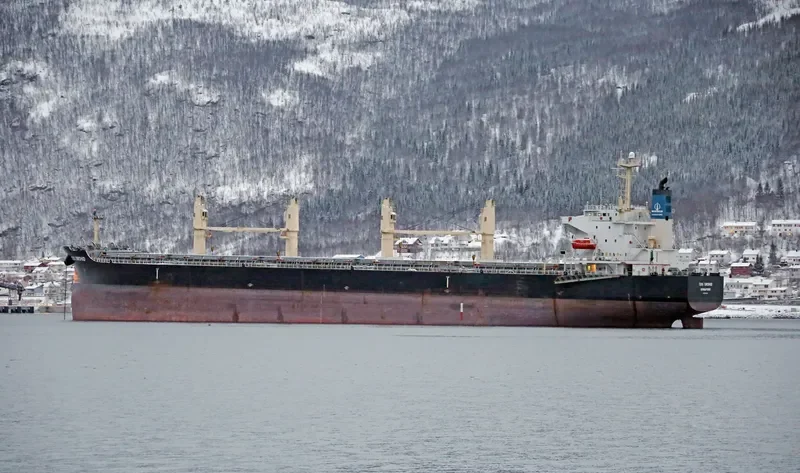 COS ORCHID Bulk Carrier IMO 9308704 photo 2