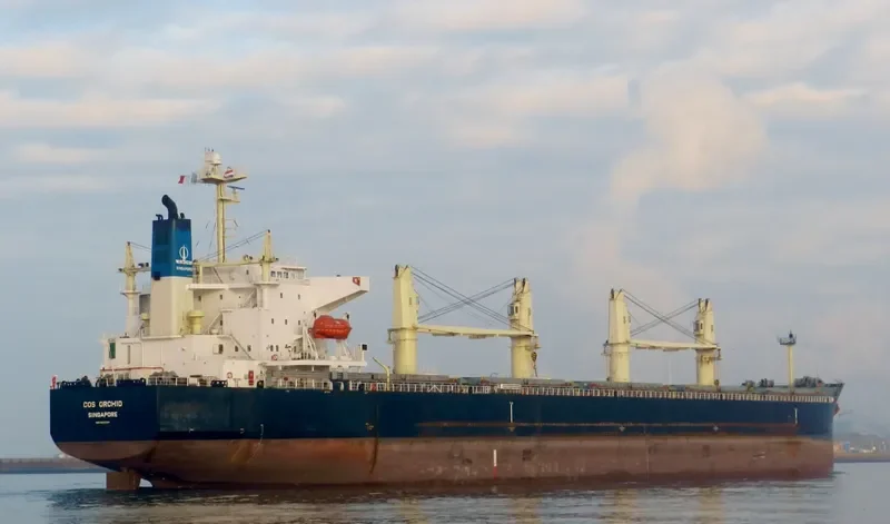 COS ORCHID Bulk Carrier IMO 9308704 photo 4