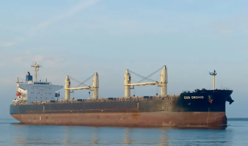 COS ORCHID Bulk Carrier IMO 9308704 photo 5