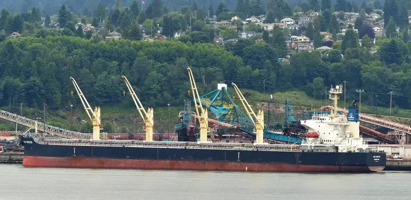 COS ORCHID Bulk Carrier IMO 9308704 photo 9
