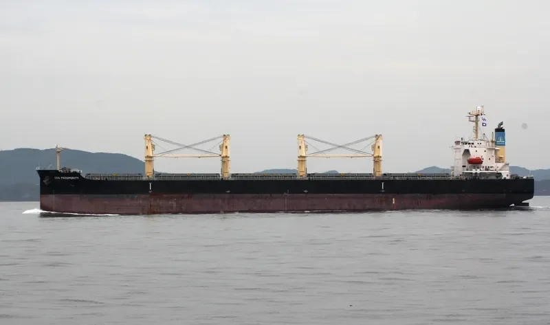 COS PROSPERITY Bulk Carrier IMO 9308716 photo 3