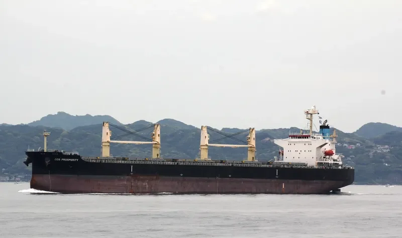 COS PROSPERITY Bulk Carrier IMO 9308716 photo 4