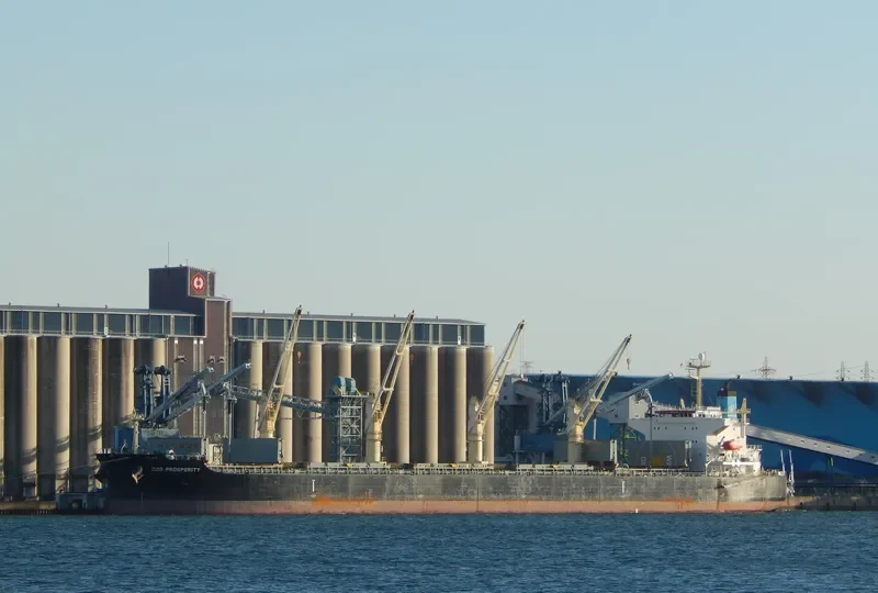 COS PROSPERITY Bulk Carrier IMO 9308716 photo 5