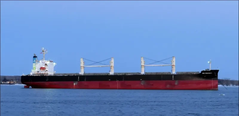 COS PROSPERITY Bulk Carrier IMO 9308716 photo 6