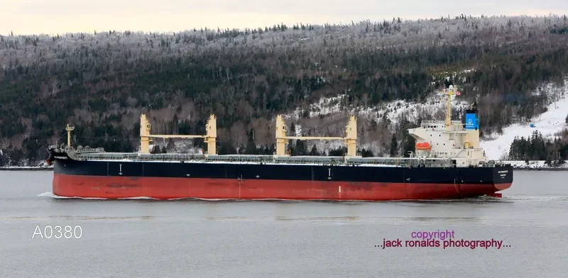 COS PROSPERITY Bulk Carrier IMO 9308716 photo 8