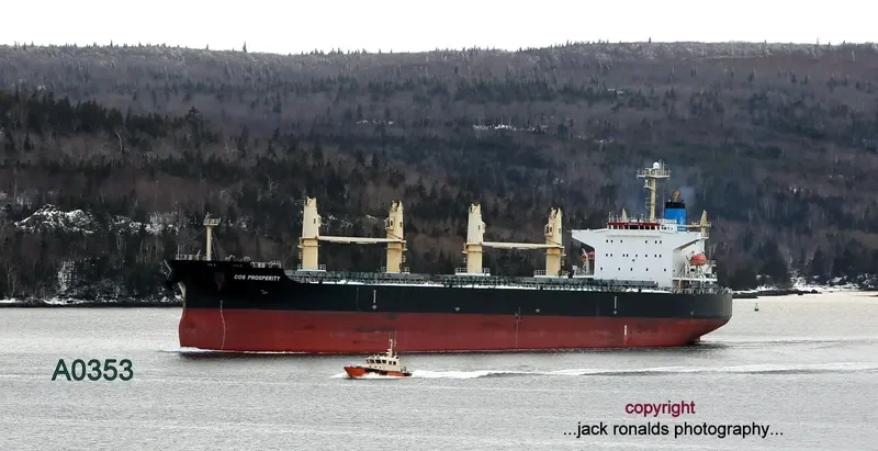 COS PROSPERITY Bulk Carrier IMO 9308716 photo 9