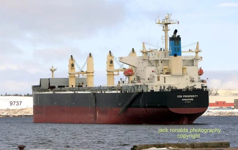 COS PROSPERITY Bulk Carrier IMO 9308716 photo 10