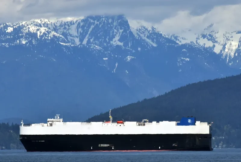 CSAV RIO GRANDE General Cargo IMO 9308807