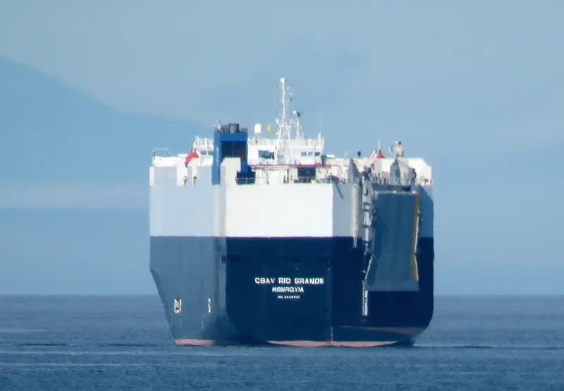 CSAV RIO GRANDE General Cargo IMO 9308807 photo 2