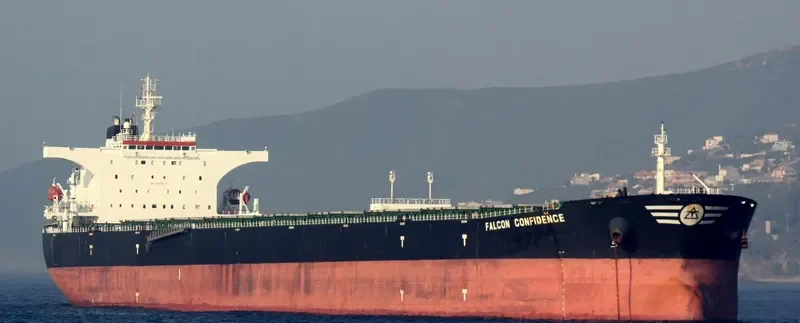 FALCON CONFIDENCE Bulk Carrier IMO 9308871