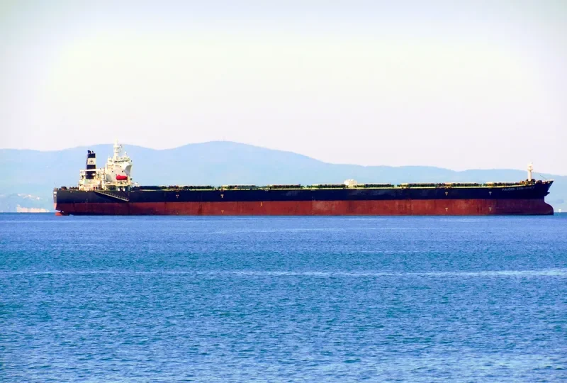 FALCON CONFIDENCE Bulk Carrier IMO 9308871 photo 2