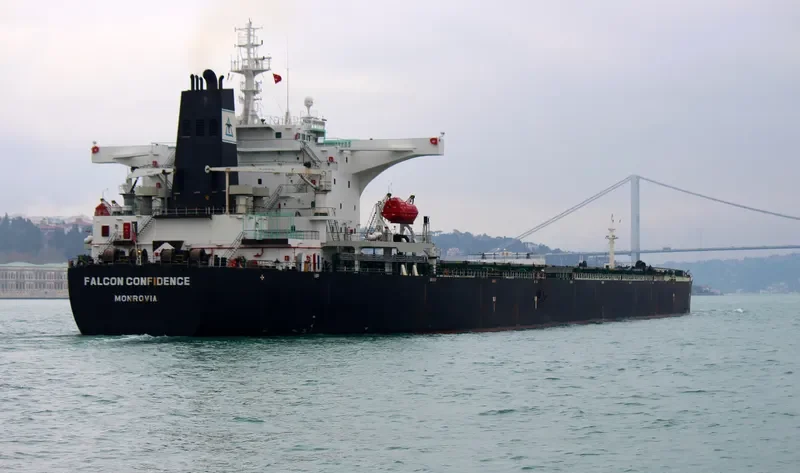 FALCON CONFIDENCE Bulk Carrier IMO 9308871 photo 3