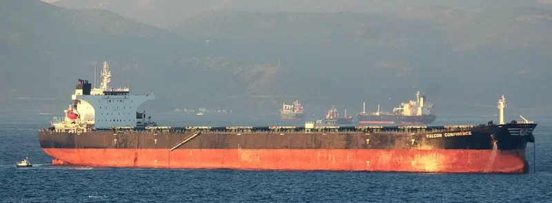 FALCON CONFIDENCE Bulk Carrier IMO 9308871 photo 4