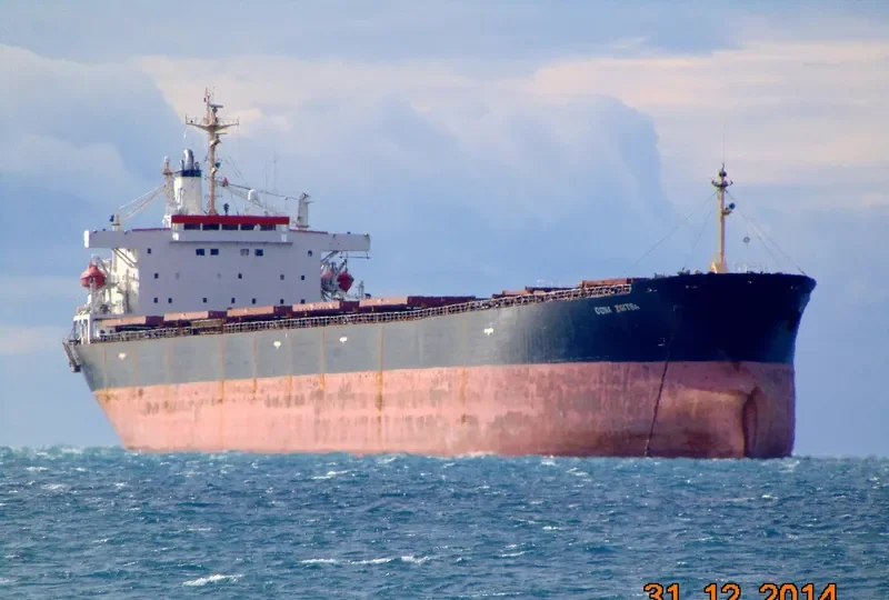 FALCON CONFIDENCE Bulk Carrier IMO 9308871 photo 5