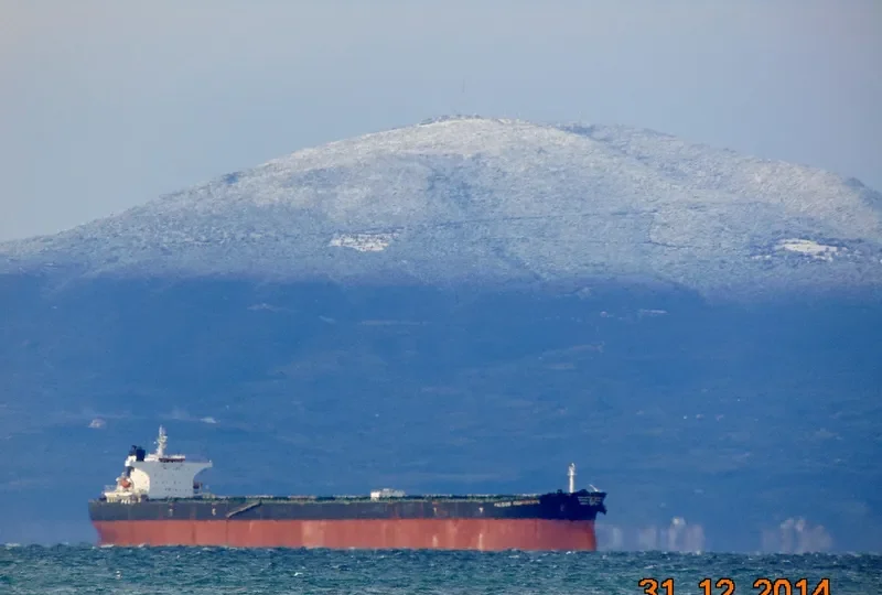 FALCON CONFIDENCE Bulk Carrier IMO 9308871 photo 6