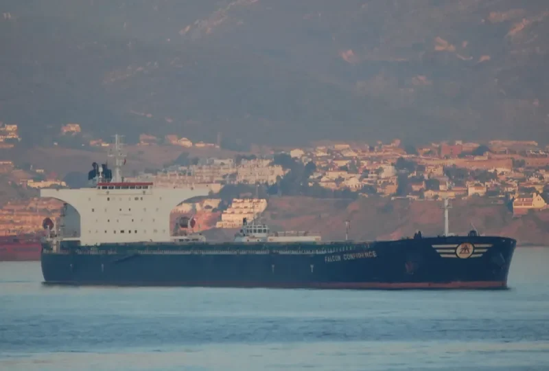 FALCON CONFIDENCE Bulk Carrier IMO 9308871 photo 8