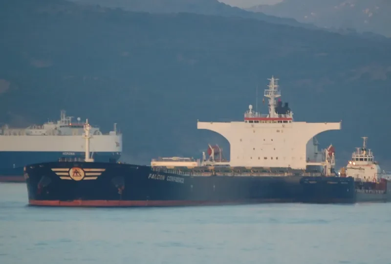 FALCON CONFIDENCE Bulk Carrier IMO 9308871 photo 9