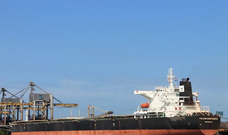 FALCON CONFIDENCE Bulk Carrier IMO 9308871 photo 10