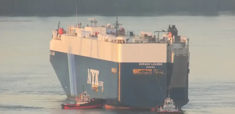 DORADO LEADER General Cargo IMO 9308895 photo 5