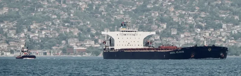 MINERAL BELGIUM Bulk Carrier IMO 9309021 photo 7