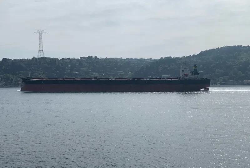 MINERAL BELGIUM Bulk Carrier IMO 9309021 photo 9