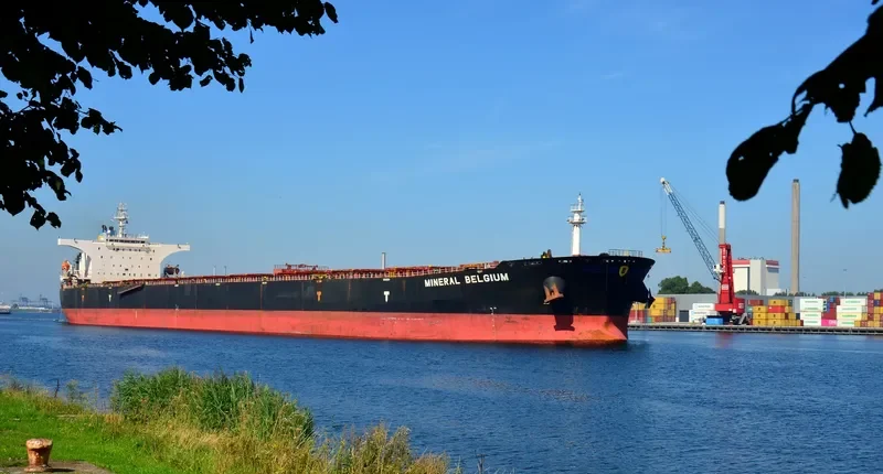 MINERAL BELGIUM Bulk Carrier IMO 9309021 photo 10