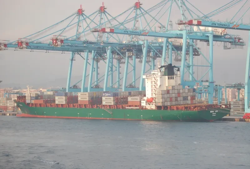 MONA LISA Container Ship IMO 9309277 photo 2