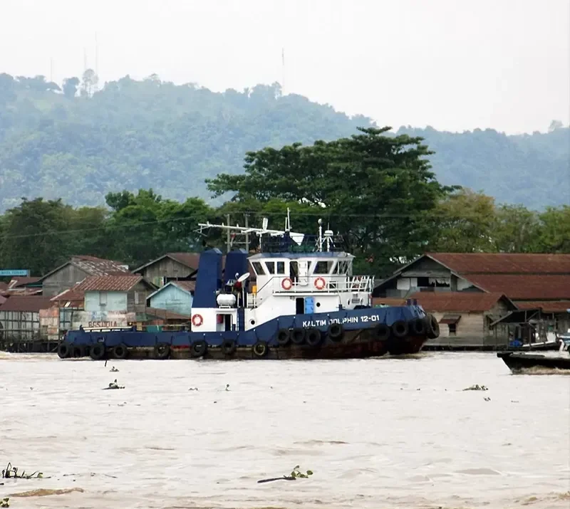 KALTIM DOLPHIN 12 01 General Cargo IMO 9309320