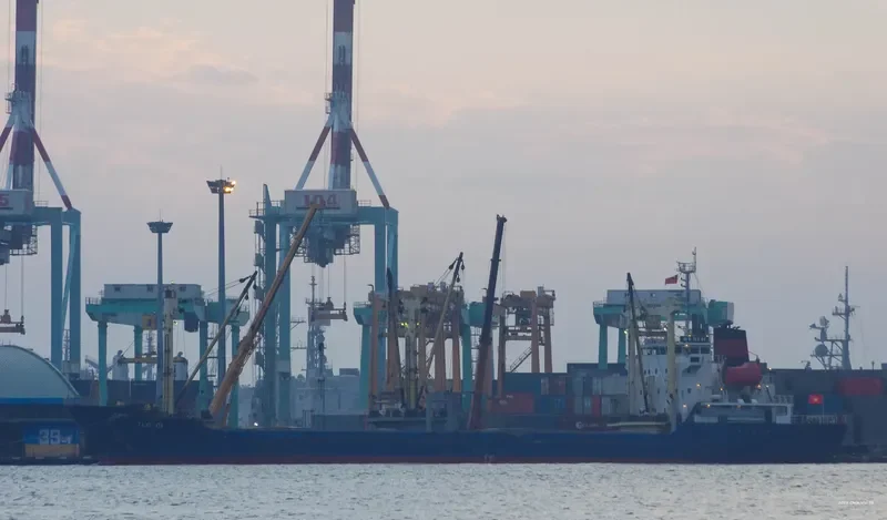 TLC 01 General Cargo IMO 9309344 photo 5