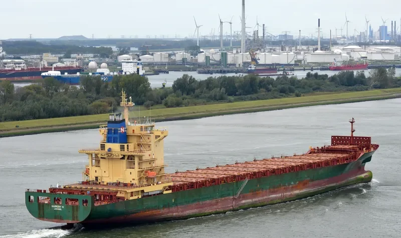 HARMONY N Container Ship IMO 9309411 photo 3