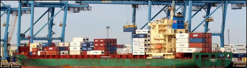 HARMONY N Container Ship IMO 9309411 photo 10