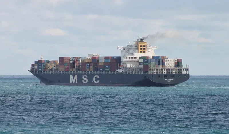 MSC SILVANA Container Ship IMO 9309459 photo 2